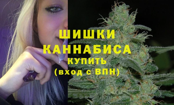 ГАЛЛЮЦИНОГЕННЫЕ ГРИБЫ Вязьма